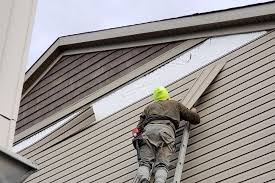 Shed Removal in Cedar Heights, MD